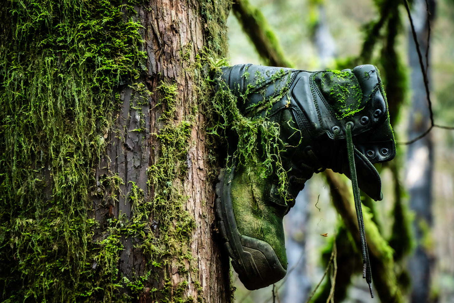 'A Step Closer To Nature'